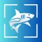 Fish Identifier : FishAI