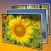 Slideshow 3D Lite