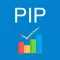 Pip Value Calculator - Forex