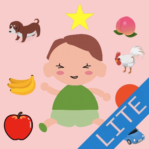 Various Touch Lite Various Touch Lite