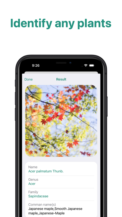 PlantID - Plant Identifier App Screenshots
