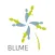 BLUME Support