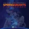 Spring 2019 NSF Grants Conf.