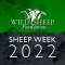 WSF 2022 Sheep Show