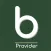Brio Provider