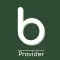 Brio Provider