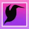 Hummingbird Identifier
