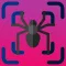 Spider Scanner
