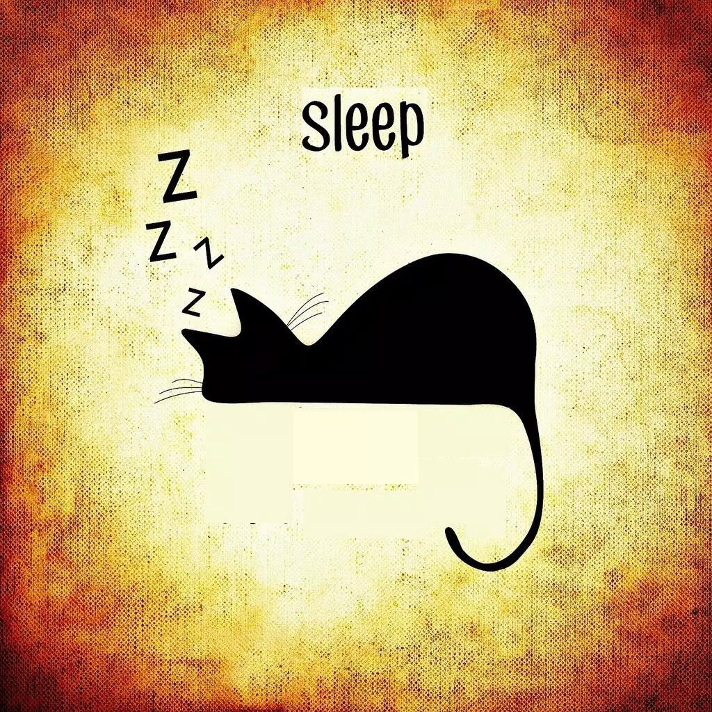 Instant Sleep. Instant Sleep.