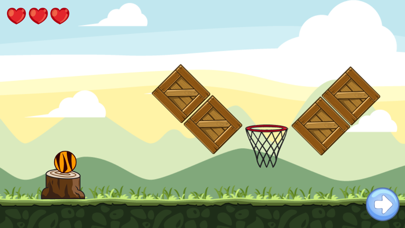 Tangkapan skrin Tiger Ball 2D