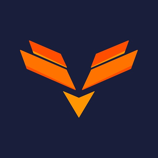 Phoenix Fund Phoenix Fund