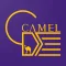 Camel Delivery Shipper