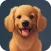 AI Pet Avatar Imagine Your Dog