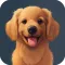 AI Pet Avatar Imagine Your Dog