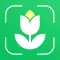 Plant Disease Identifier Pro
