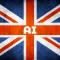 Cambridge English Test AI