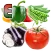 Learn Vegetables Name