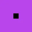 purple purple