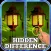 Hidden Difference: Beautiful Orient