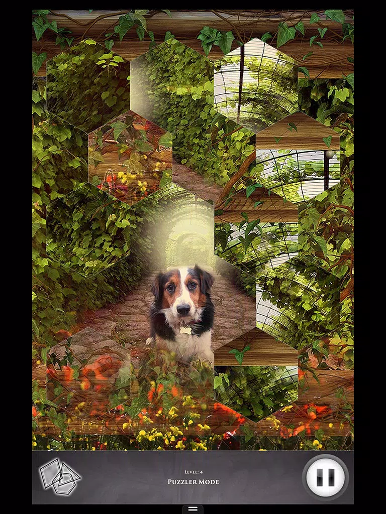 Hidden Scenes - Country Living iPad Screenshots