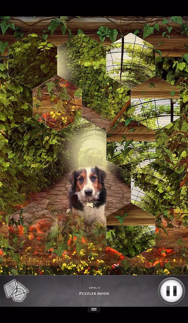 Hidden Scenes - Country Living Screenshots