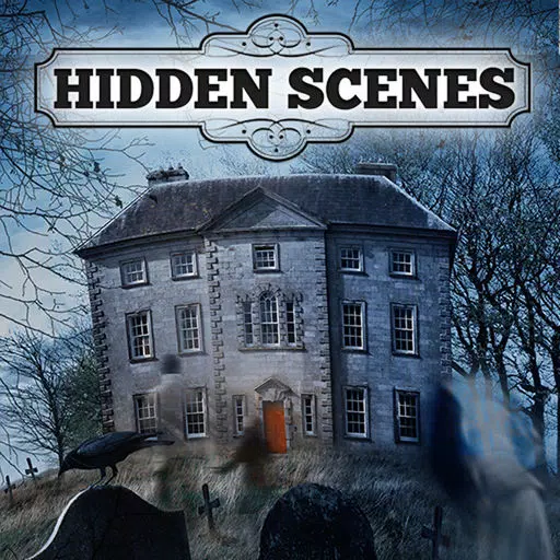 Hidden Scenes - Mystery Mansion Hidden Scenes - Mystery Mansion