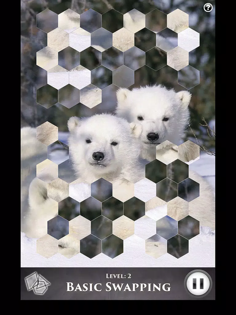 Hidden Scenes - Polar Bears iPad Screenshots