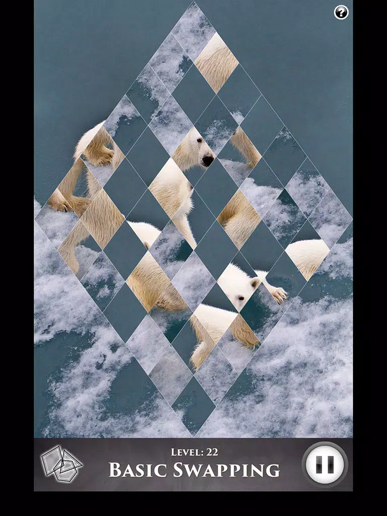 Hidden Scenes - Polar Bears iPad Screenshots