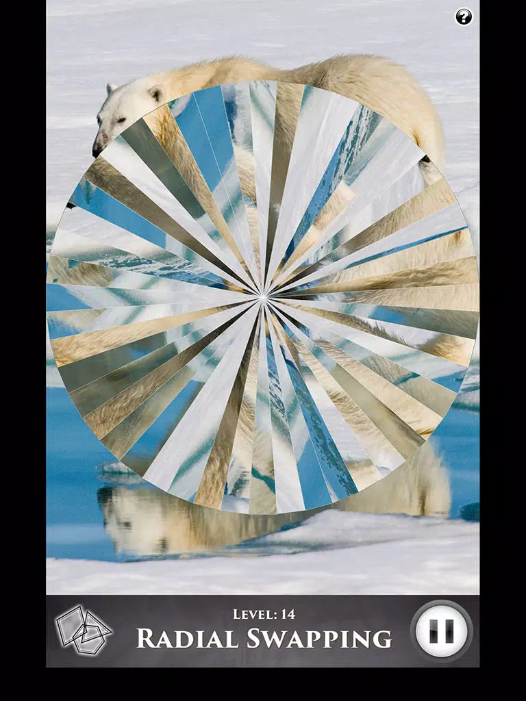 Hidden Scenes - Polar Bears iPad Screenshots