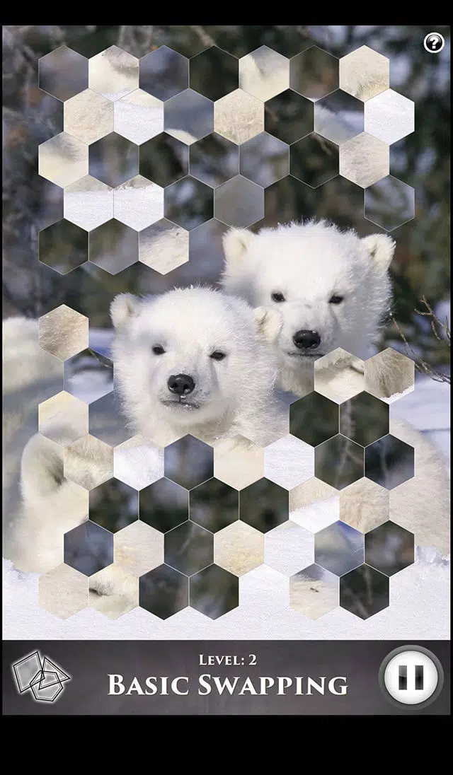 Hidden Scenes - Polar Bears Screenshots