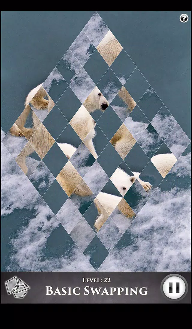 Hidden Scenes - Polar Bears Screenshots