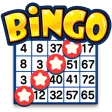 Bingo Drive: Fun Bingo Games