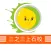 三之三上石校