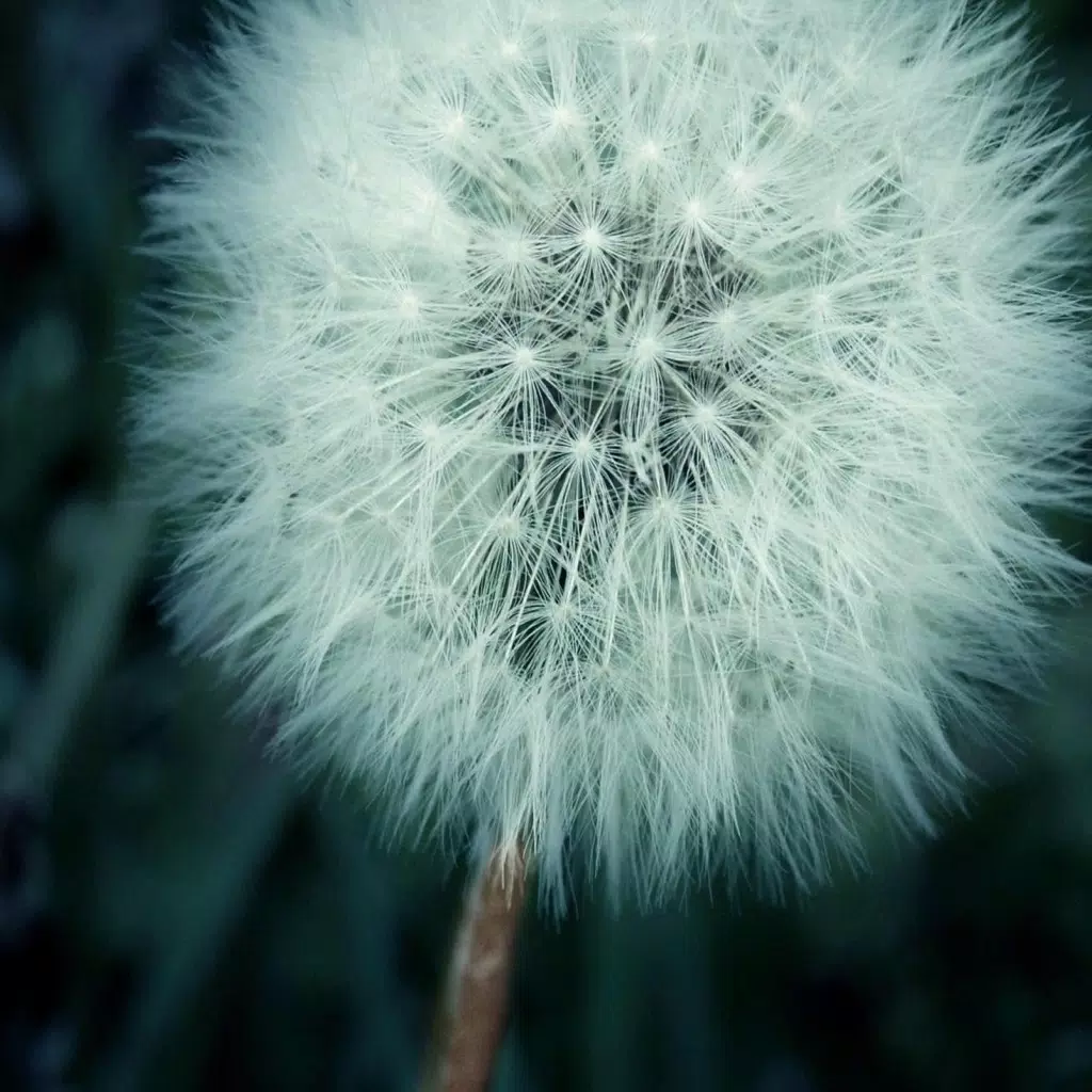 Wish'List - Keep Your Wishes In One Place. Wish'List - Keep Your Wishes In One Place.