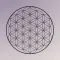 Alchemy Yoga and Reiki