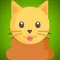 Poopy Cat!