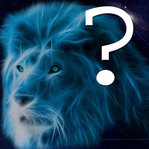 Magic Eye Animal Quiz Magic Eye Animal Quiz