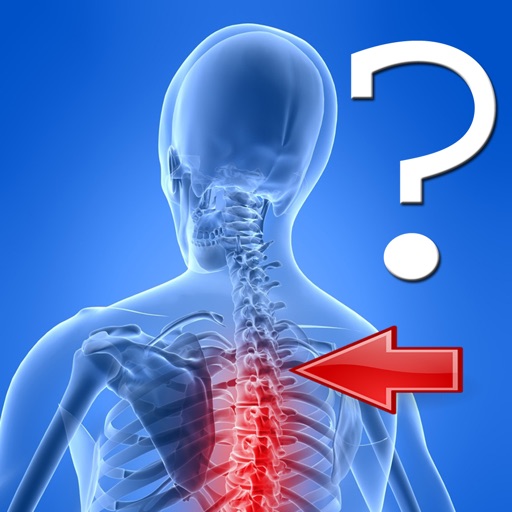 Anatomy Spine Quiz Anatomy Spine Quiz