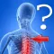Anatomy Spine Quiz