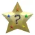 Magic Stars Puzzle