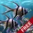 T�h�e� �r�e�a�l� �a�q�u�a�r�i�u�m� �-� �f�r�e�e�