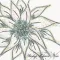 AFNFlowerStickers
