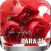 Flores y Rosas de Amor -Frases