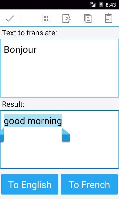 French English Translator Screenshots
