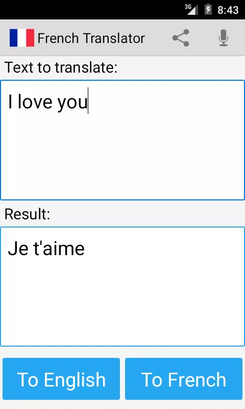 French English Translator Screenshots