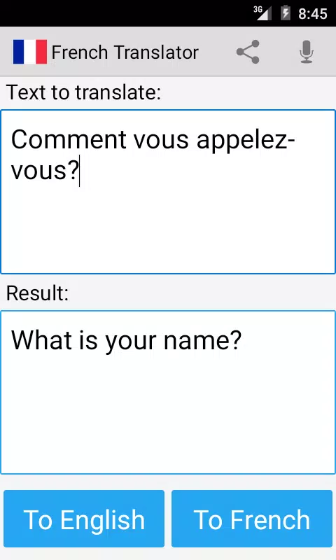 French English Translator Screenshots