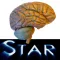 Anatomy Star - CNS (the Brain)