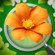 Blossom Triple