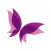 All-Beauty Rakuten market store shopping