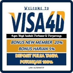 VISA4D スクリーンショット